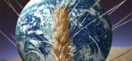 The food system: Crisis in slow motion